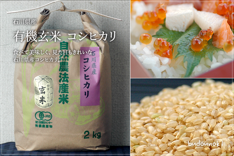 [有機栽培]石川県産玄米【コシヒカリ】 2kg の販売・通販 - 有機野菜のぶどうの木