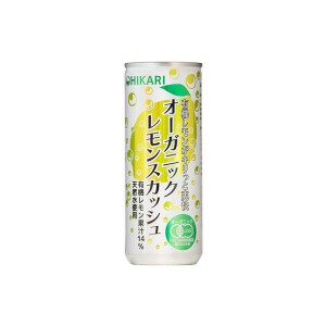 ヒカリオーガニックレモンスカッシュ　250ml