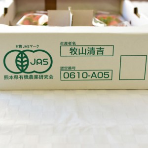 [有機栽培] 牧山さんの有機いちご  (250g×4パック)《シーズン外商品》