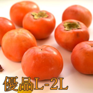 【家庭用】熊代農園の富有柿 (優品L-2L込サイズ　7.5kg)