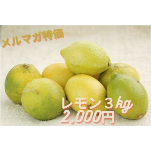 メルマガ特価【特別栽培 】レモン(3kg)