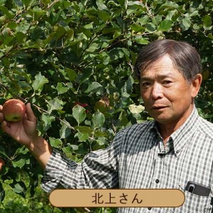 [有機栽培] 有機りんご食べ比べセット（4～6個)