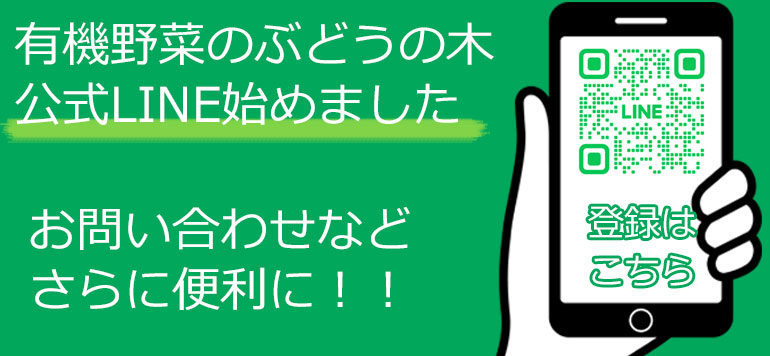 LINEǤΤ䤤碌Ǥˡ